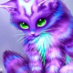 Stararkz